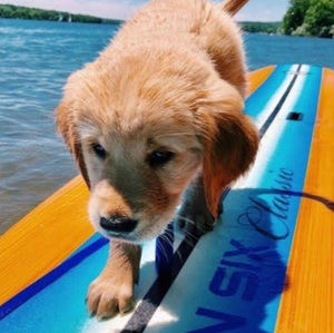 Meet your Posher, Chloe